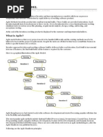 Agile Model PDF