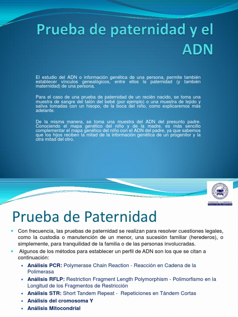 Prueba De Paternidad Y El Adn Pptx Reacción En Cadena De La