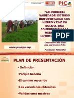 Cresencio Variedades de Trigo Biofortificado Nov 2013, VRNT CBBA PDF