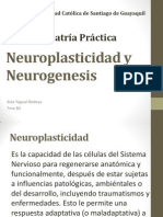 Neuroplasticidad y Neurogenesis