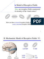 Mechanistic: II. Model of Receptive Fields