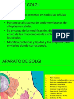 Aparato de Golgi