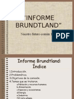 2553283 Informe Brundtland