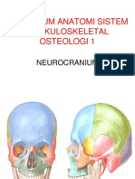 OSTEO 1, Neurocranium