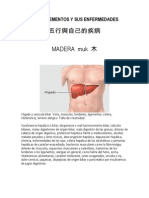 Los 5 Elementos y Sus Enfermedades PDF