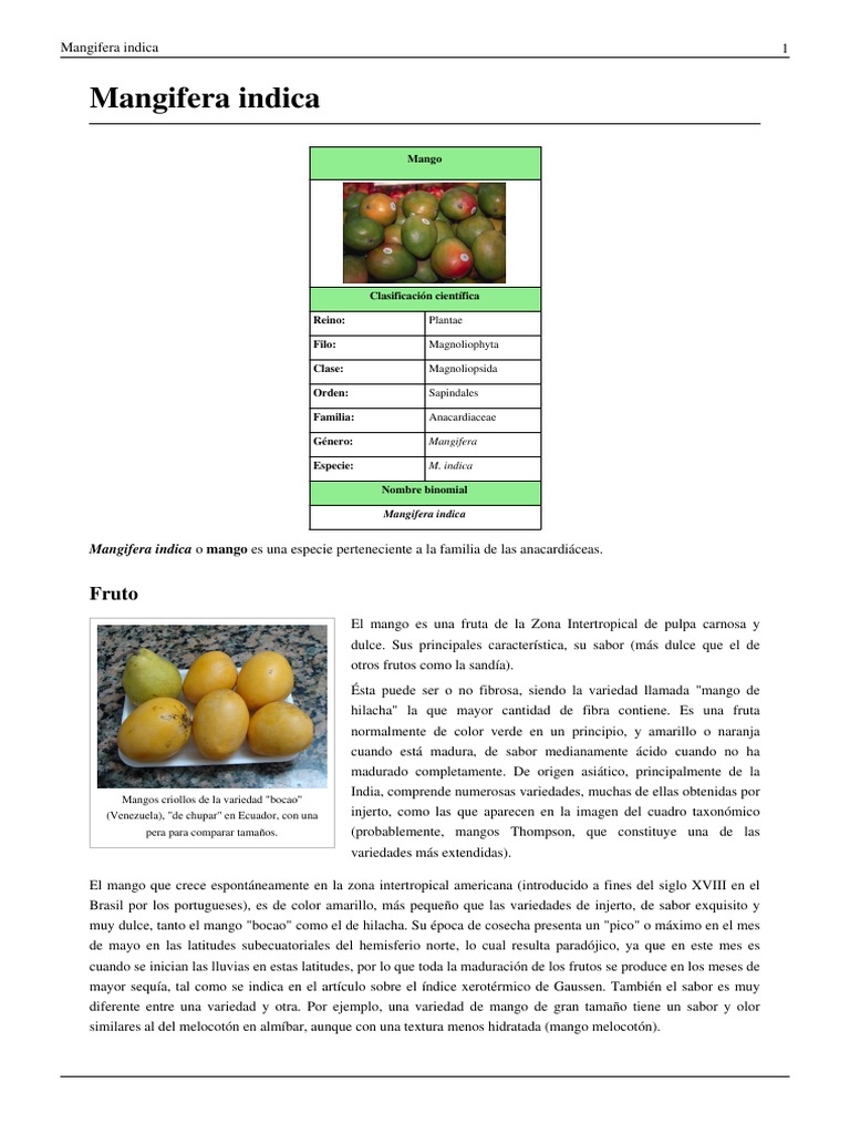 Mangifera indica (Mango).pdf Plantas Horticultura y jardinería