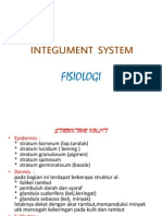 Integument System