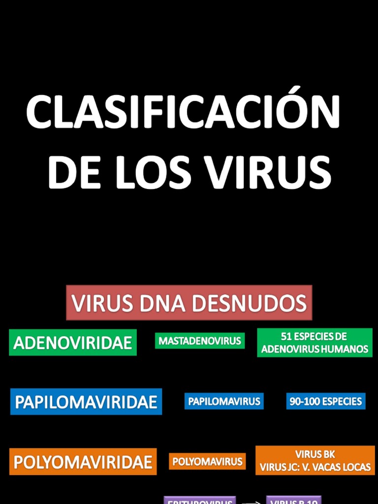 CLASIFICACIÓN DE LOS VIRUS | PDF | Virus | Organismos