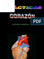 Practicas Corazon