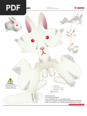 Rabbit Saito e A4 | PDF