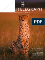 Safari Consultants January 2014 Telegraph Newsletter