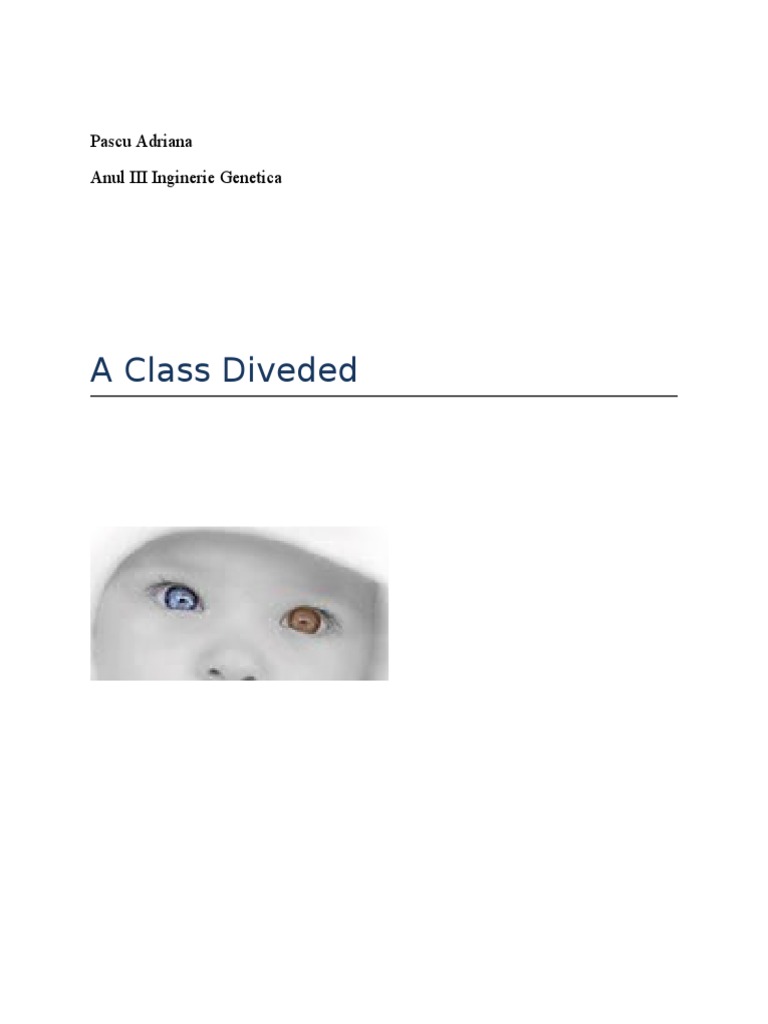 A Class Divided | PDF