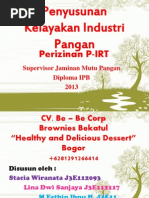 Download PIRT  by Muhammad Fathin Ibnu Harly SN192513217 doc pdf