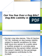 Can You Sue Over A Dog Bite Dog Bite Liability in Florida