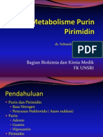 IT 11 - Metabolisme Purin Pirimidin - SUB