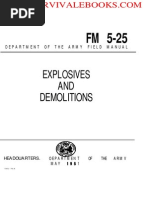 MICLIC Mine Clearing System Overview | PDF | Land Mine | Naval Mine