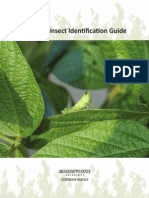 Soybean Insect Identification Guide
