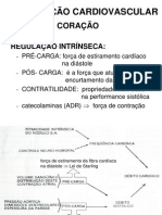 Cardiovascular Regulacao