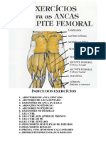 Ex Femoral