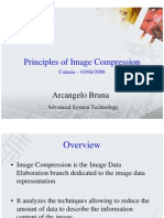 Image Compression (Bruna)