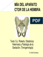 Clase 1 Anatomia AP Reproductor Hembra