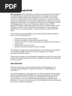 Download Risk Management by love0lust SN19257866 doc pdf