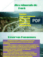 Depósitos Minerais Do Pará.