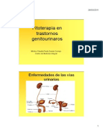 Fitoterapia en Infecciones Urogenitales