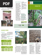 Folder Adubação Verde