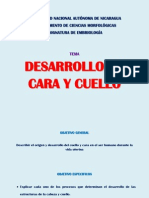 Desarrollo Embriologico de Cabeza y Cuello