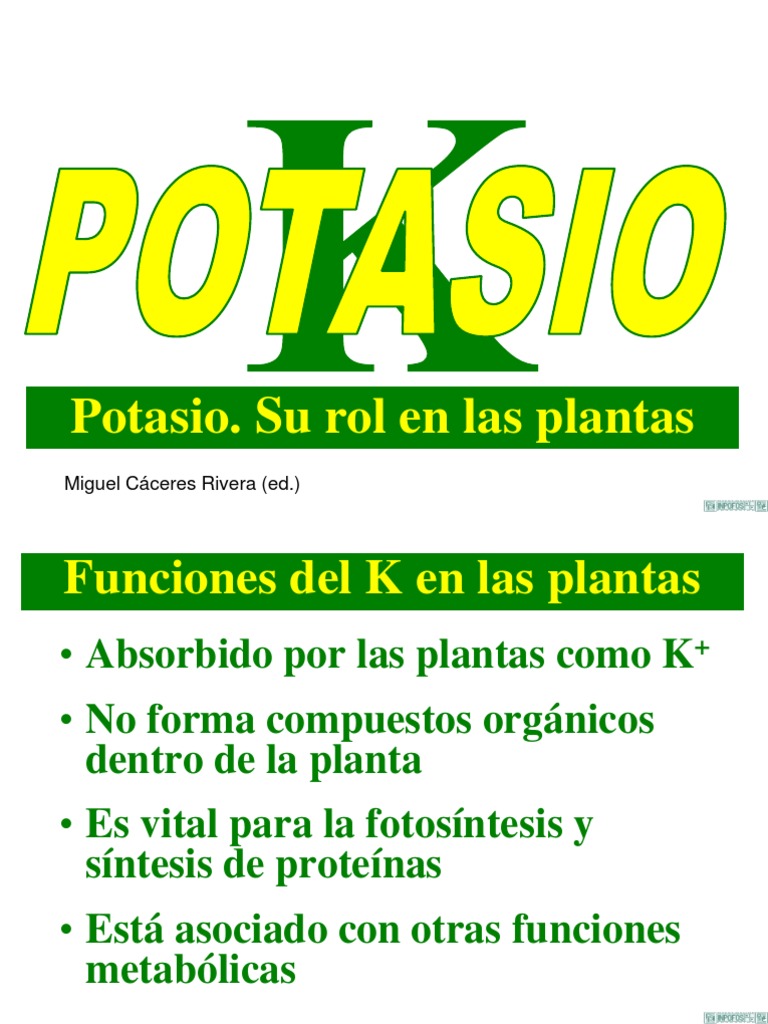 Funciones del Potasio en las Plantas | PDF | Fotosíntesis | Plantas