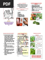 Download Leaflet Asam Urat by Nawa Jovank SN192642711 doc pdf