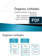 Órganos Linfoides - Seminario II 2009