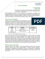 Bio Combustibles