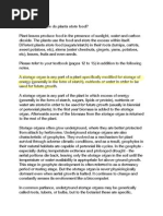 My Fun Science Corner - Plant System How Do Plants Store Food Article 2
