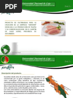 Informe Final