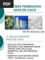 Download Proses Pembuatan Nata de Coco by bione technofarm SN19283815 doc pdf