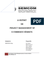 Project Management Process Report For Website Developement