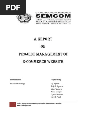 Project Management Process report for Website Developement