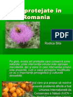 Arii protejate in Romania