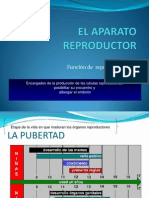 El_aparato_reproductor Clases 12 - 1