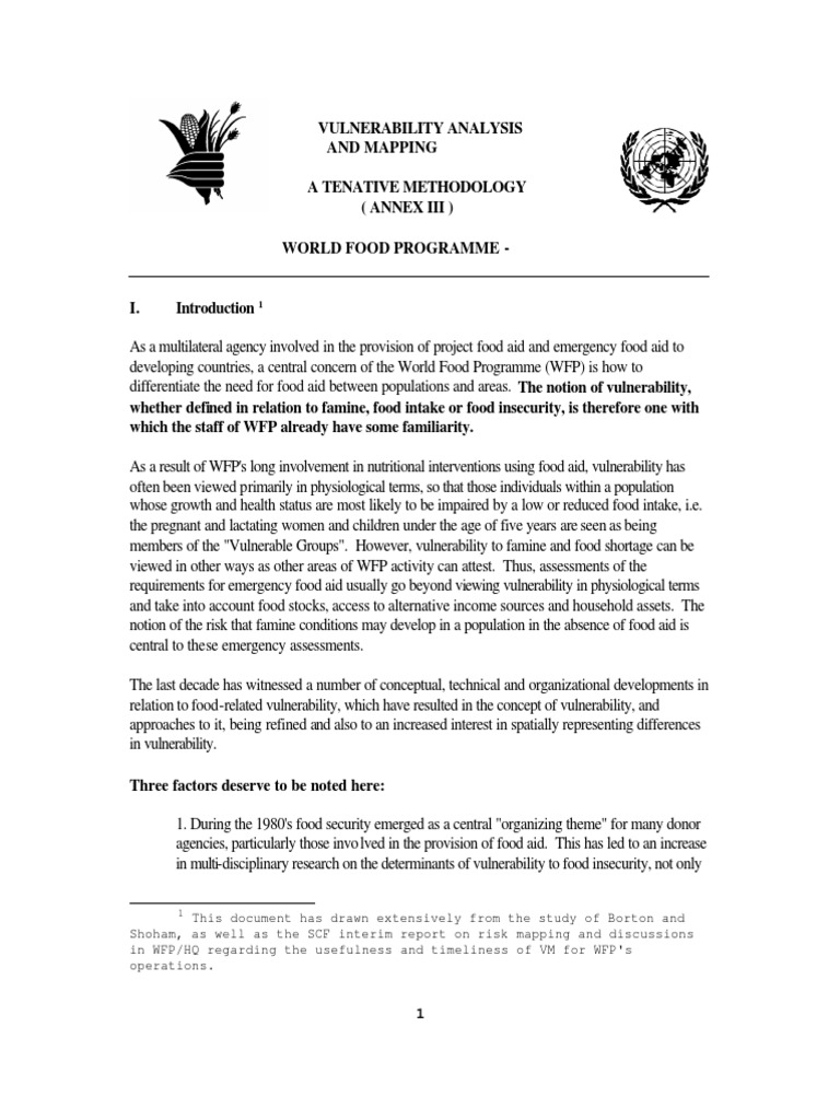 Vulnerability Analysis Methodology | PDF