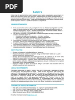 Download Ladders - QBE Standards-2 by QBE European Operations Risk Management SN19293084 doc pdf