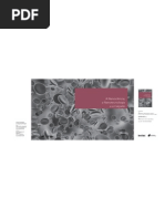 A Nanociência, a Nanotecnologia e o Calçado