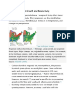 Impacts On Forest Growth and Productivity