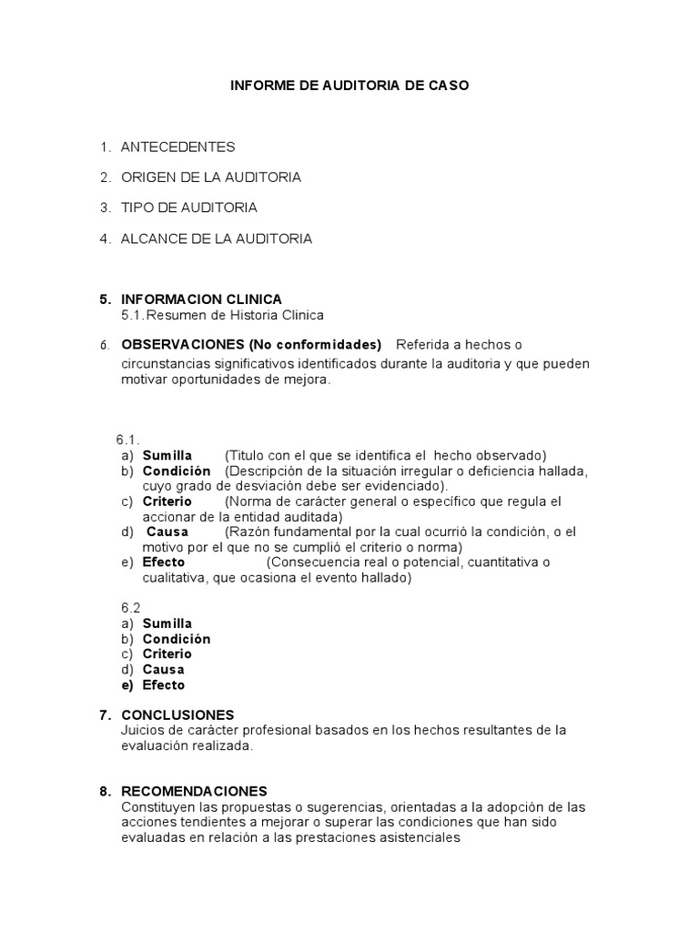 Informe de Auditoria de Caso Modelo 1