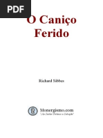 canico-ferido_sibbes