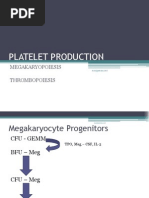 Platelet Production