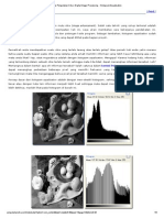 Situs Pengolahan Citra - Digital Image Processing - Histogram Equalisation