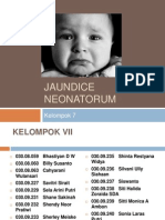 Jaundice Neonatorum